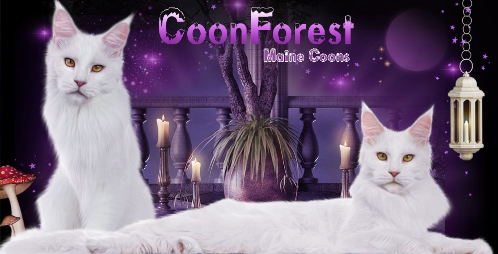 Coonforest