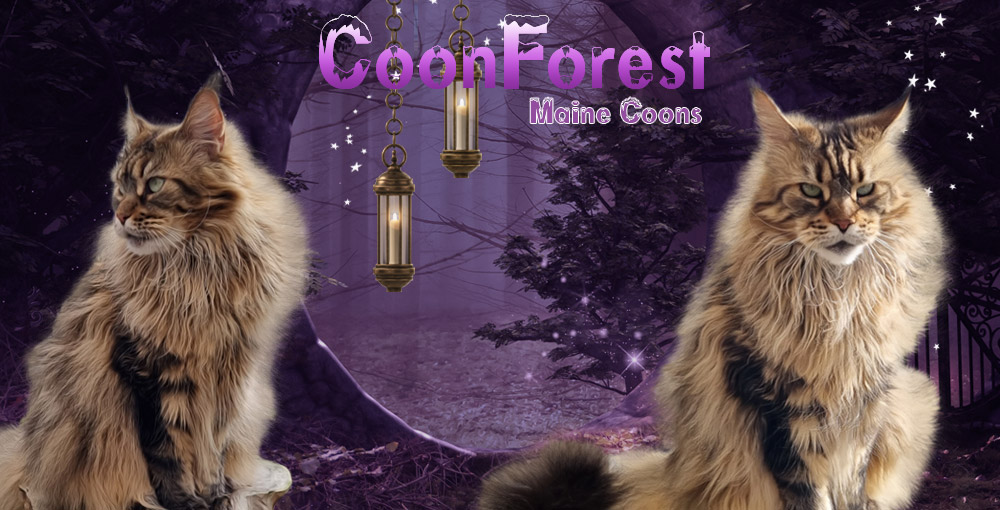 Coonforest